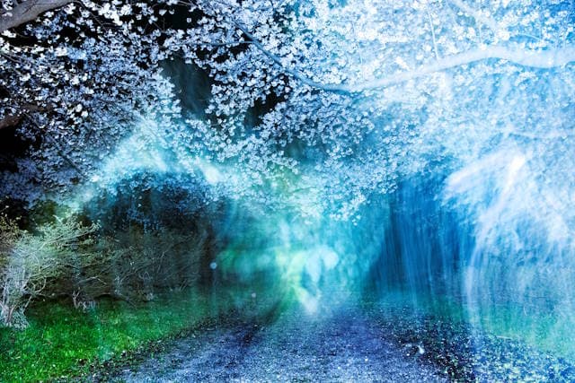 Japan House London Announces Photography Exhibition: Invisible